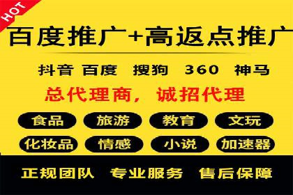 竞价推广公司经典案例：打造行业领先的广告投放效果